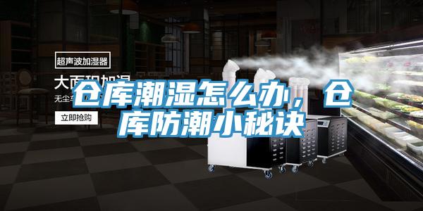 倉庫潮濕怎么辦，倉庫防潮小秘訣