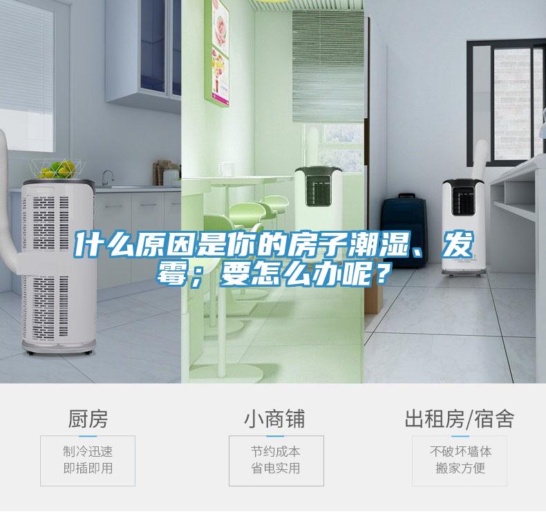 什么原因是你的房子潮濕、發(fā)霉；要怎么辦呢？