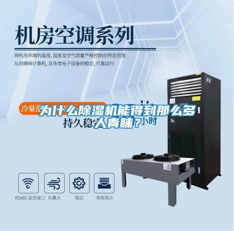 為什么除濕機能得到那么多人青睞？