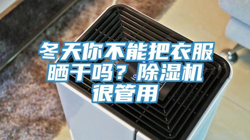 冬天你不能把衣服曬干嗎？除濕機(jī)很管用