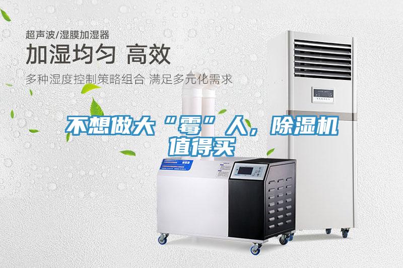 不想做大“霉”人，除濕機值得買