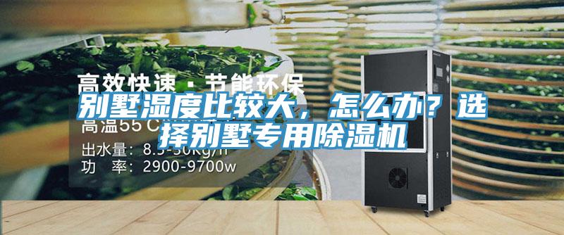 別墅濕度比較大，怎么辦？選擇別墅專用除濕機(jī)
