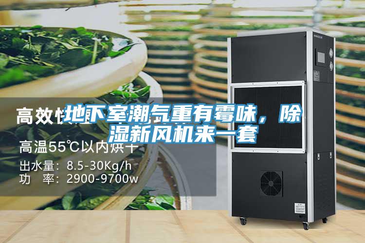 地下室潮氣重有霉味，除濕新風機來一套