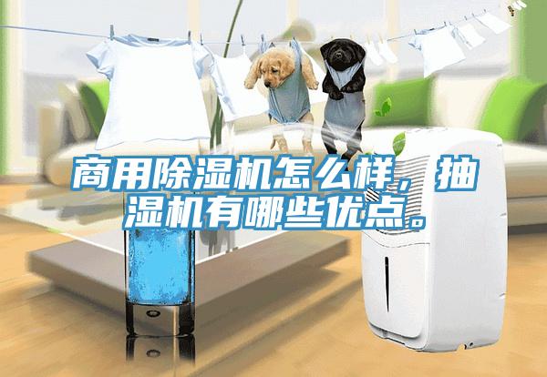商用除濕機(jī)怎么樣，抽濕機(jī)有哪些優(yōu)點(diǎn)。