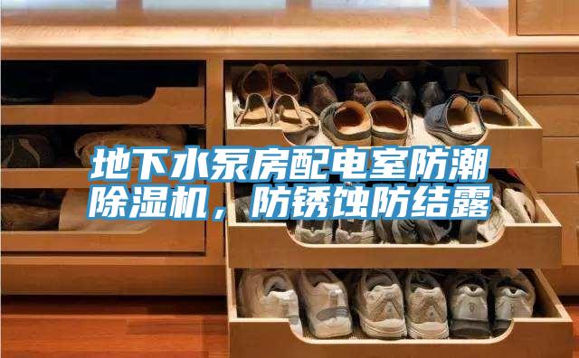 地下水泵房配電室防潮除濕機(jī)，防銹蝕防結(jié)露