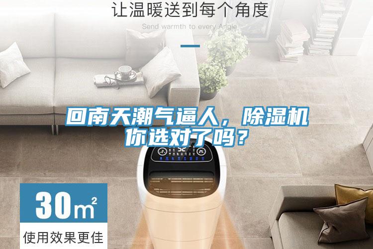 回南天潮氣逼人，除濕機你選對了嗎？