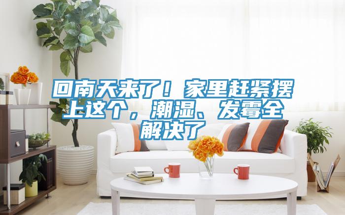 回南天來了！家里趕緊擺上這個，潮濕、發(fā)霉全解決了