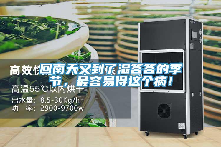 回南天又到了濕答答的季節(jié)，最容易得這個??！
