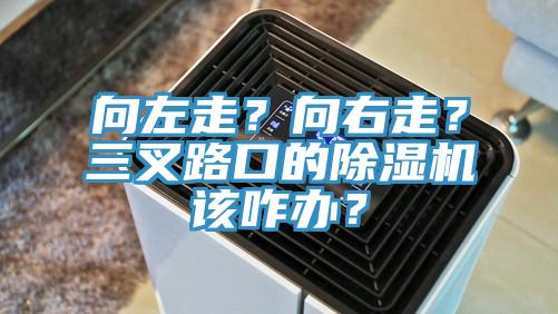向左走？向右走？三叉路口的除濕機該咋辦？