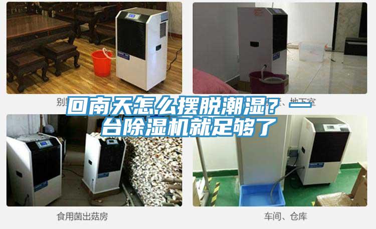 回南天怎么擺脫潮濕？一臺(tái)除濕機(jī)就足夠了