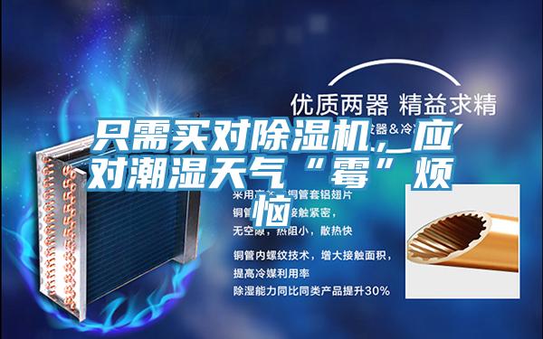 只需買對(duì)除濕機(jī)，應(yīng)對(duì)潮濕天氣“霉”煩惱