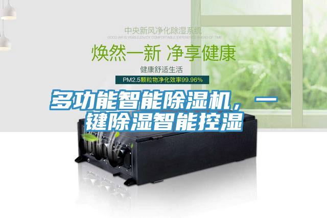多功能智能除濕機，一鍵除濕智能控濕