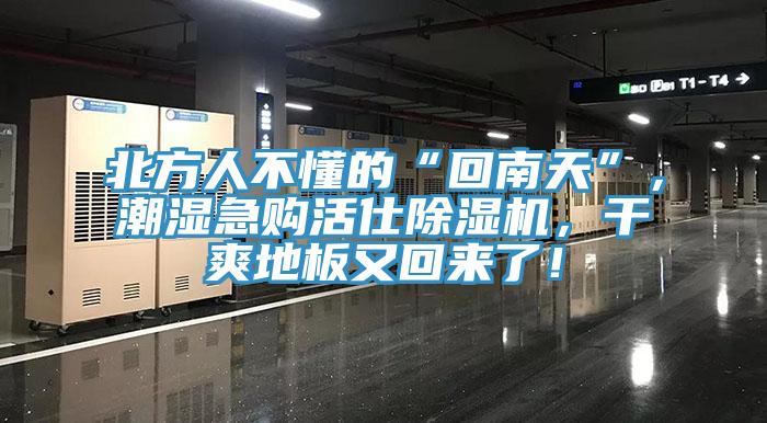 北方人不懂的“回南天”，潮濕急購活仕除濕機，干爽地板又回來了！