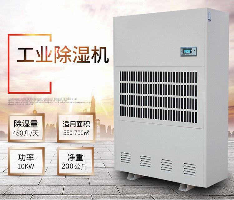 雙十一買什么？除濕機是首選