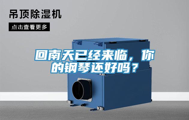 回南天已經(jīng)來臨，你的鋼琴還好嗎？