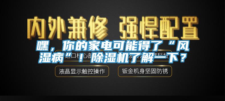嘿，你的家電可能得了“風濕病”！除濕機了解一下？