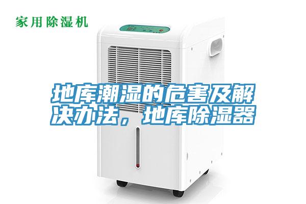 地庫潮濕的危害及解決辦法，地庫除濕器
