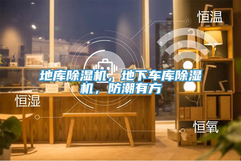 地庫除濕機，地下車庫除濕機，防潮有方