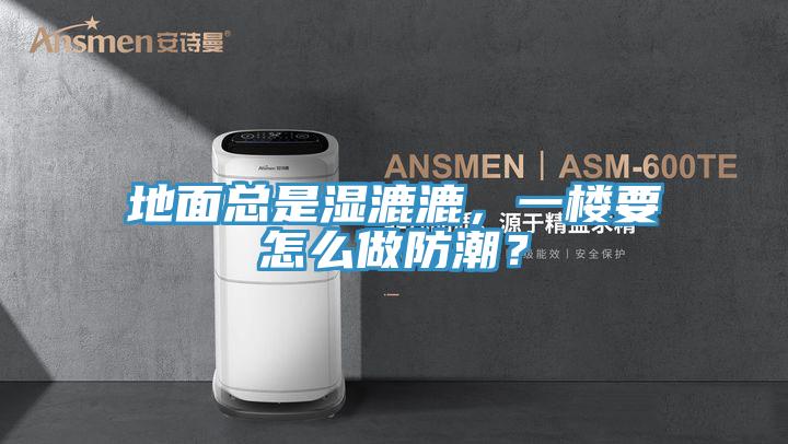 地面總是濕漉漉，一樓要怎么做防潮？