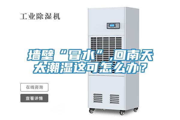 墻壁“冒水”,回南天太潮濕這可怎么辦？