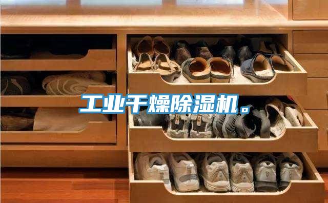工業(yè)干燥除濕機(jī)。