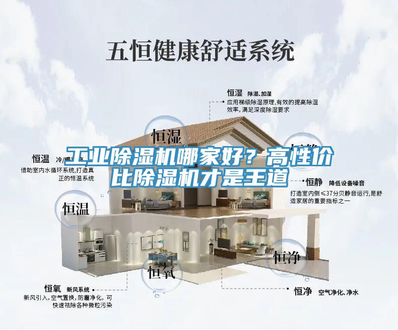 工業(yè)除濕機哪家好？高性價比除濕機才是王道