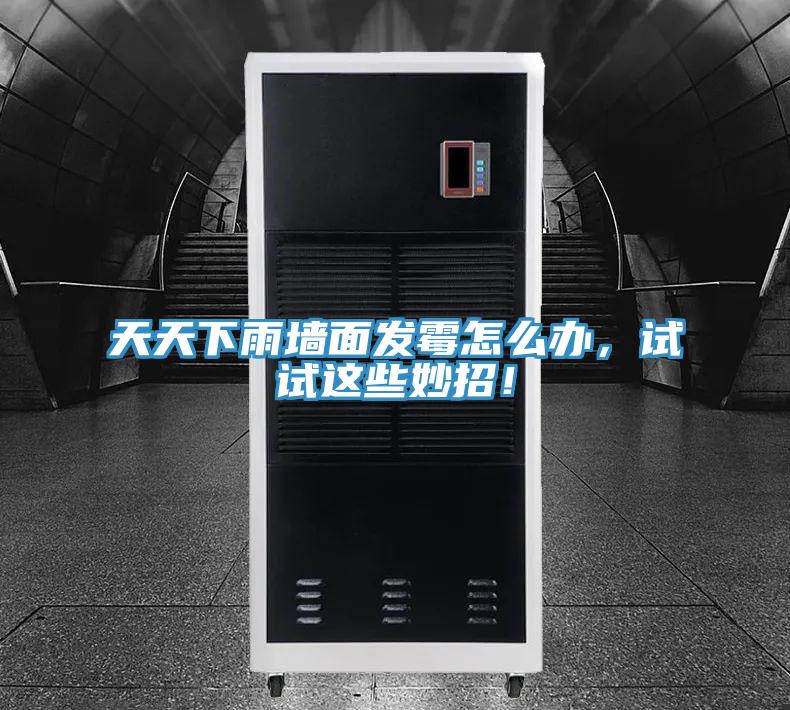 天天下雨墻面發(fā)霉怎么辦，試試這些妙招！