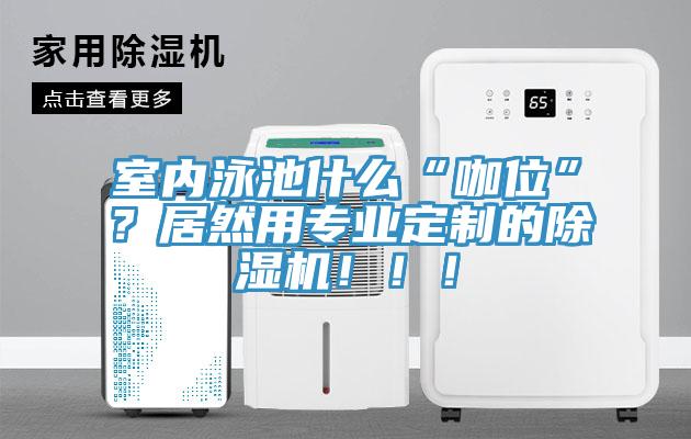 室內(nèi)泳池什么“咖位”？居然用專業(yè)定制的除濕機(jī)?。?！