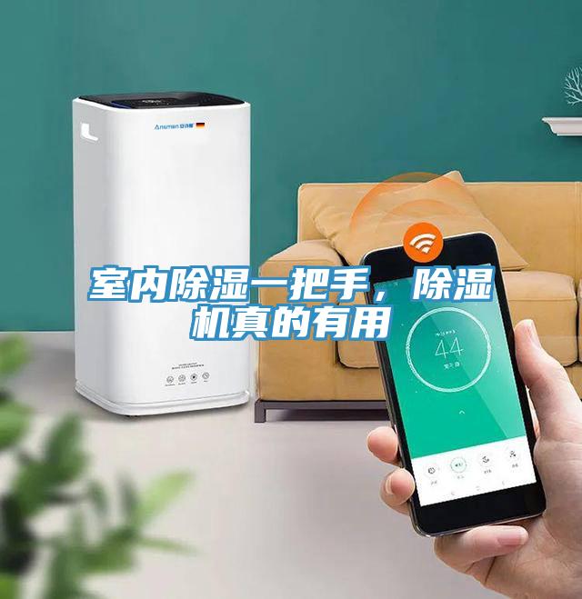 室內(nèi)除濕一把手，除濕機真的有用