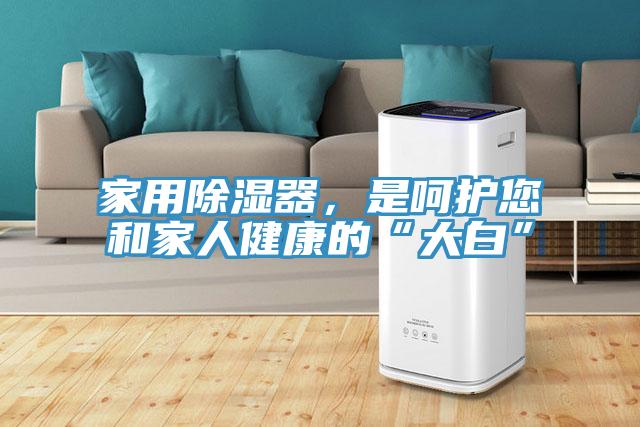 家用除濕器，是呵護您和家人健康的“大白”