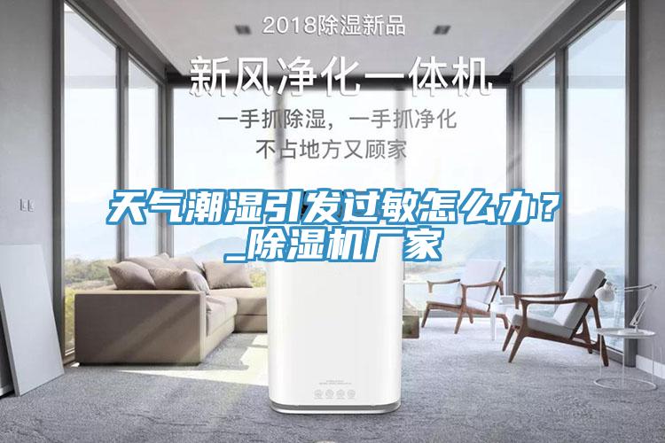 天氣潮濕引發(fā)過(guò)敏怎么辦？_除濕機(jī)廠家