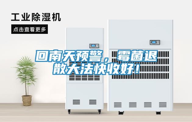 回南天預(yù)警，霉菌退散大法快收好！