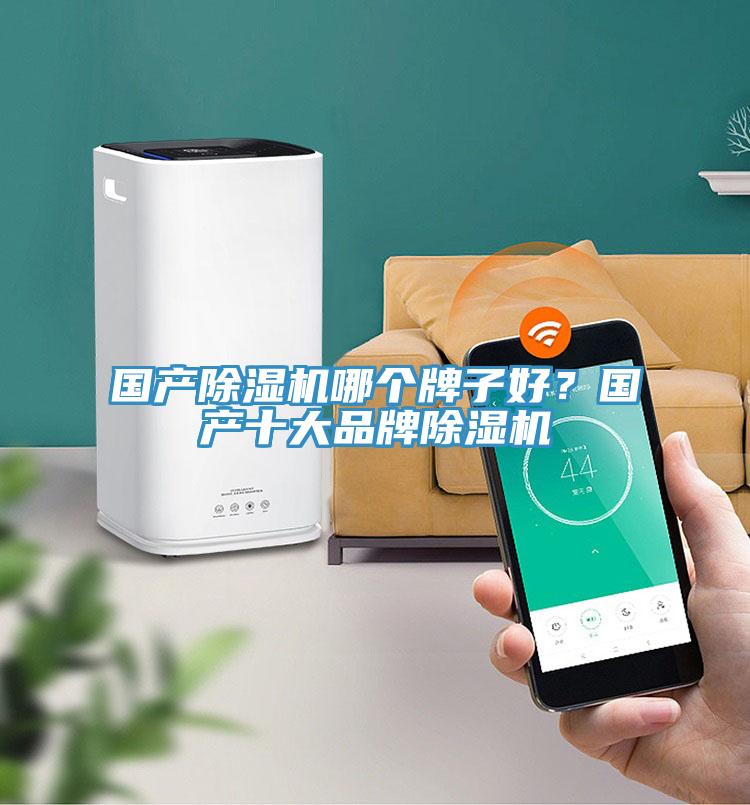 國產除濕機哪個牌子好？國產十大品牌除濕機