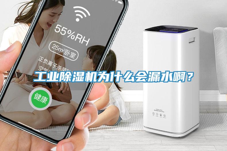 工業(yè)除濕機(jī)為什么會漏水?。?/></p>
                            <p style=