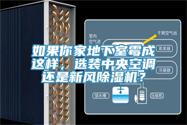 如果你家地下室霉成這樣，選裝中央空調(diào)還是新風(fēng)除濕機(jī)？