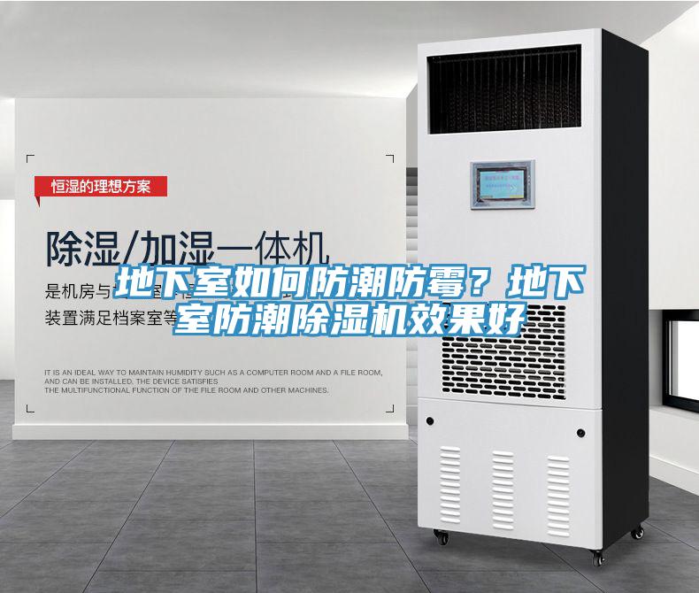 地下室如何防潮防霉？地下室防潮除濕機(jī)效果好