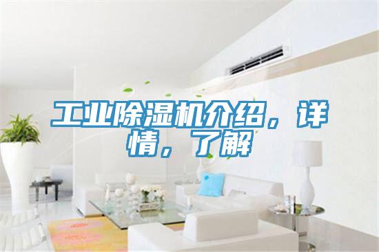 工業(yè)除濕機介紹，詳情，了解