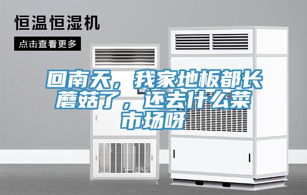 回南天，我家地板都長蘑菇了，還去什么菜市場呀