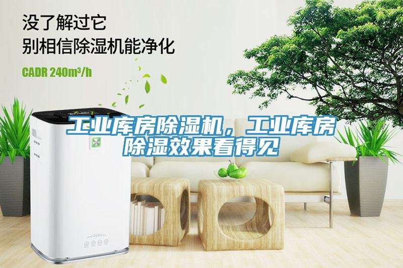 工業(yè)庫房除濕機(jī)，工業(yè)庫房除濕效果看得見