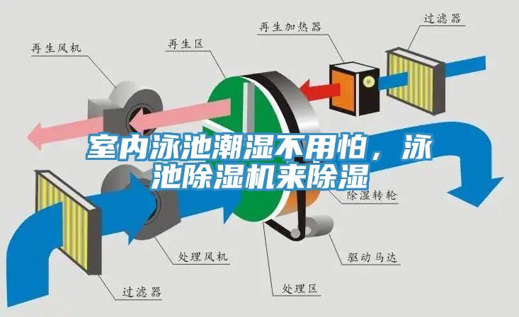 室內(nèi)泳池潮濕不用怕，泳池除濕機(jī)來除濕