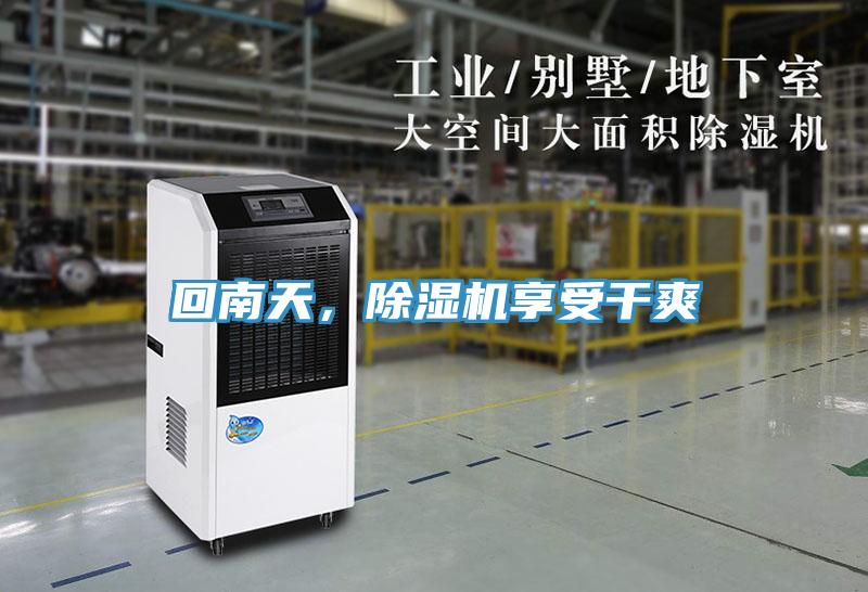 回南天，除濕機享受干爽