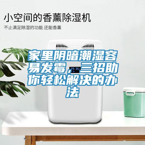 家里陰暗潮濕容易發(fā)霉，三招助你輕松解決的辦法