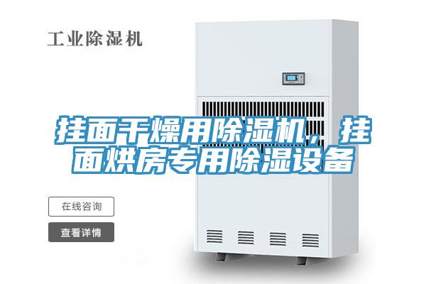 掛面干燥用除濕機(jī)，掛面烘房專用除濕設(shè)備