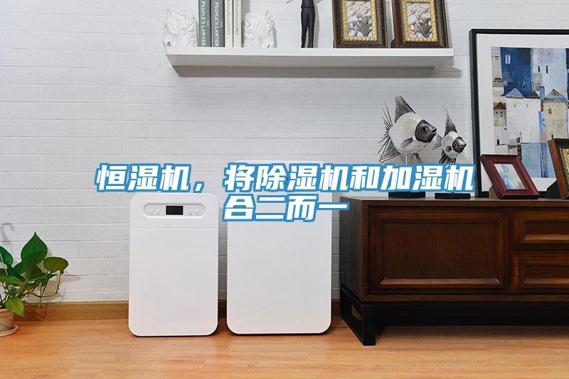 恒濕機，將除濕機和加濕機合二而一