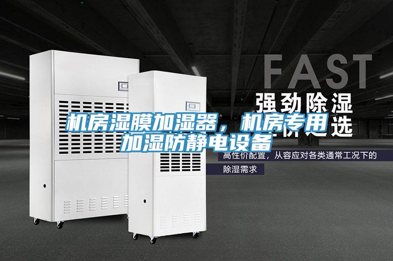機(jī)房濕膜加濕器，機(jī)房專用加濕防靜電設(shè)備
