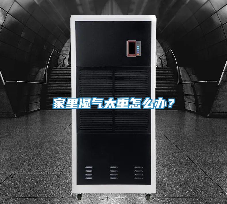 家里濕氣太重怎么辦？
