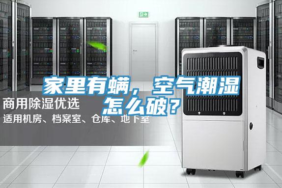 家里有螨，空氣潮濕怎么破？