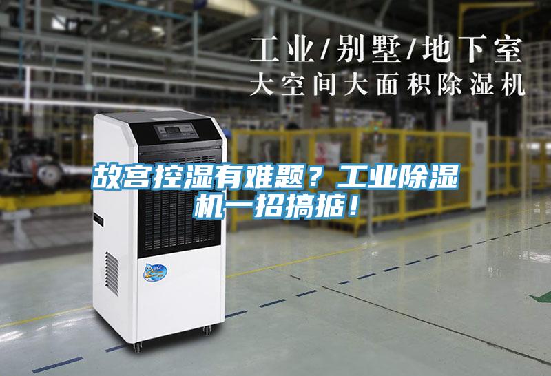 故宮控濕有難題？工業(yè)除濕機(jī)一招搞掂！