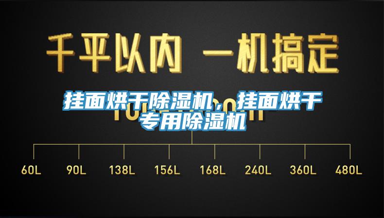 掛面烘干除濕機(jī)，掛面烘干專用除濕機(jī)