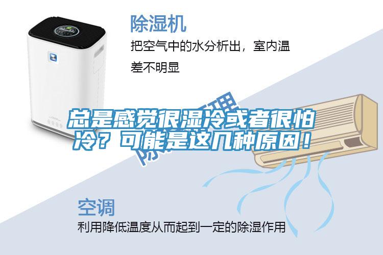 總是感覺很濕冷或者很怕冷？可能是這幾種原因！